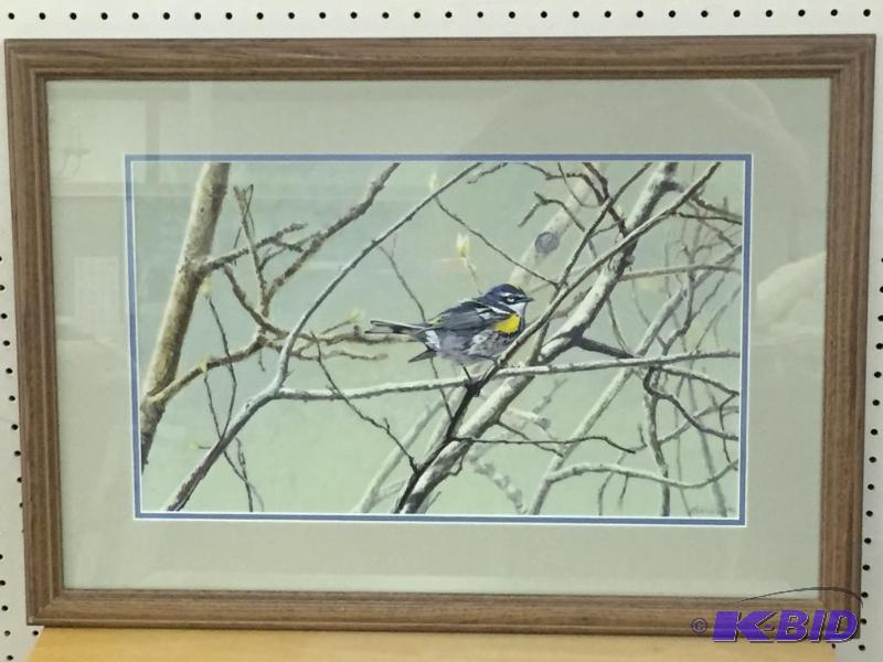 Yellow Rumped Warbler by David C. Brandon
