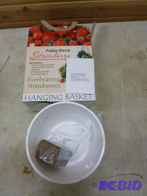 lot 100 image: PatioDeck Strawberry Hanging Basket...