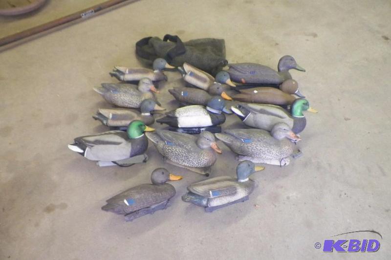 lot 10 image: 14 Duck Decoys with bag - Ready for Hunting