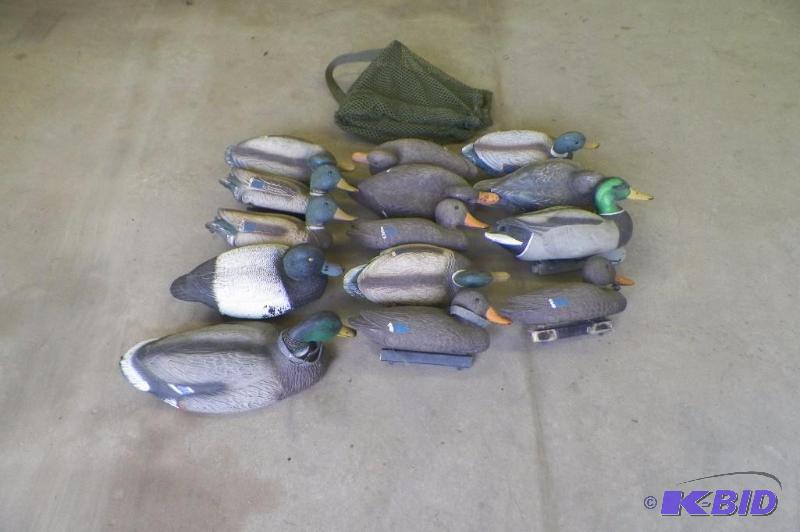 lot 12 image: 14 Duck Decoys with bag - Ready for Hunting