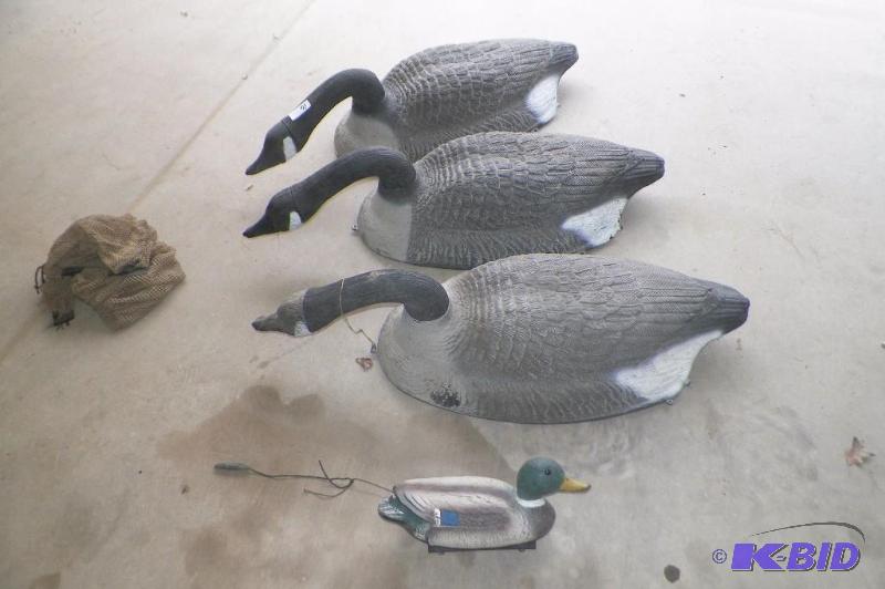 lot 16 image: 3 Goose Decoys - Duck is for size reference only