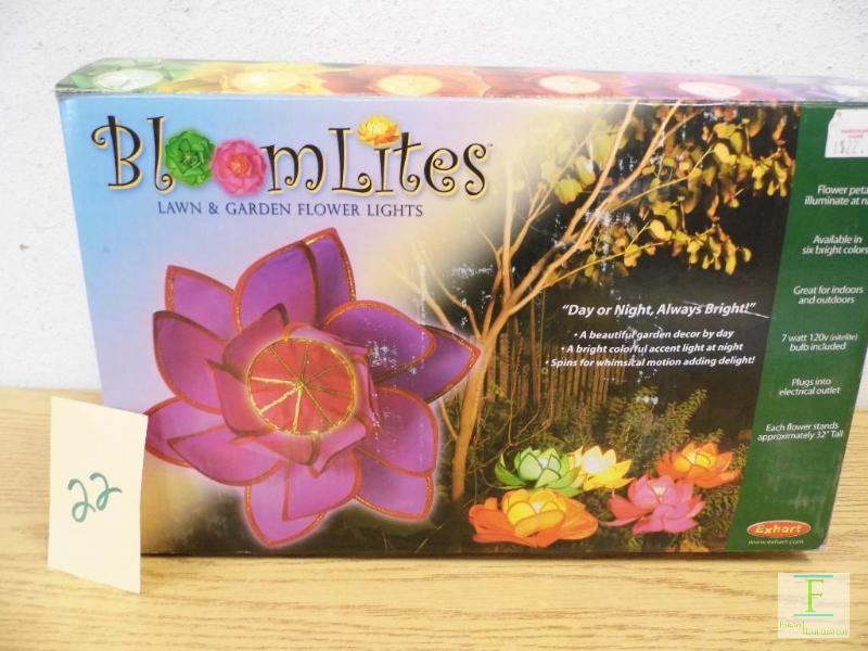 New Bloom Lights