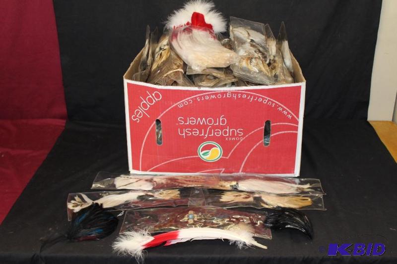 Feather Hat Bands  Head Bands, Many&nbsp...