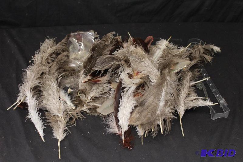 More Feathers Many...