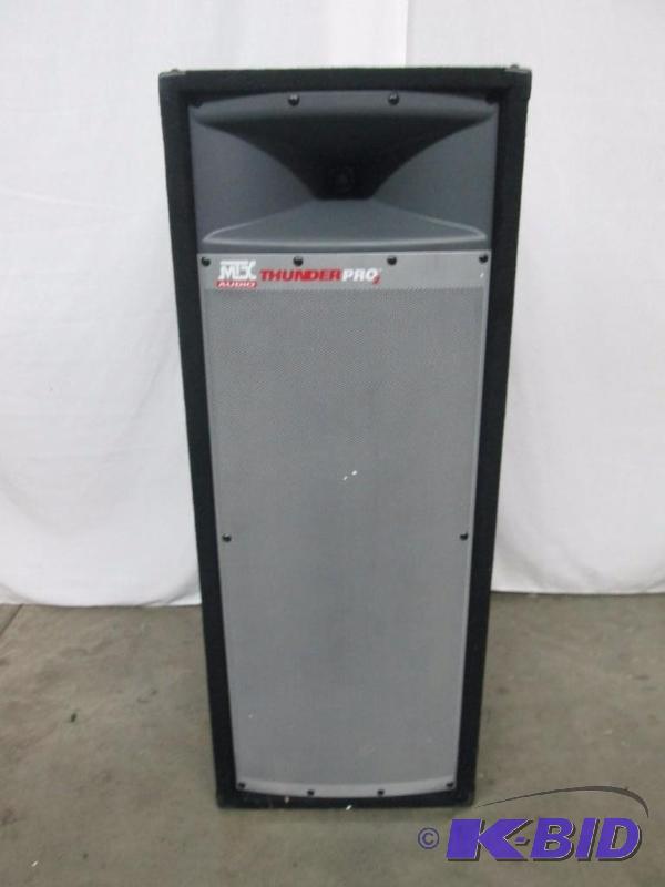 MTX 12 2-Way Speaker