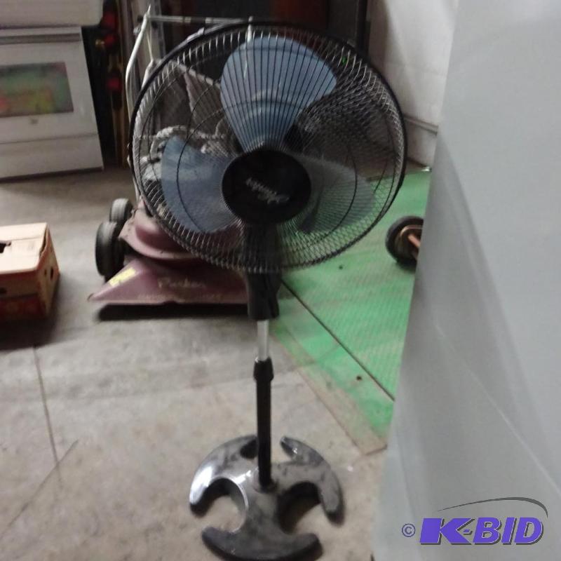 Hunter Pedestal Fan...