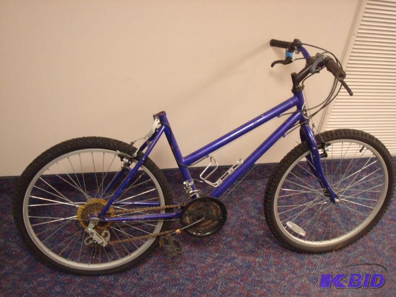 lot 8 image: Bike Needs Maintenance...