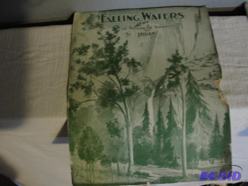 Falling Waters Book