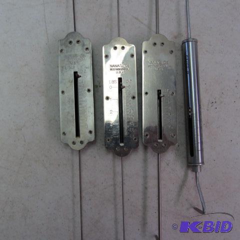 Nanasi Scales