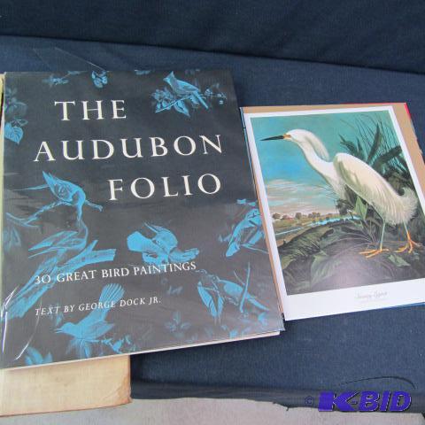 Audubon Folio, Great Birds