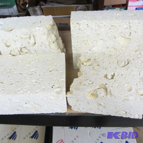 Fossil Blocks
