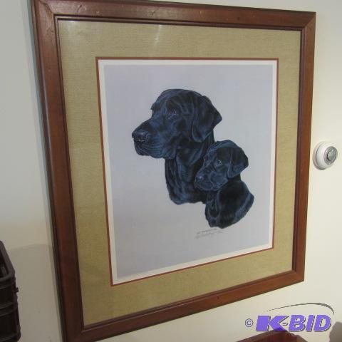 Les Anderson Lab Print