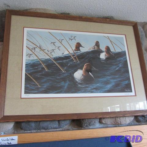 Van Gilder Canvasbacks