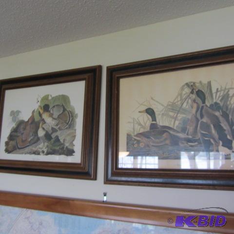 Audubon Mallard & Grouse