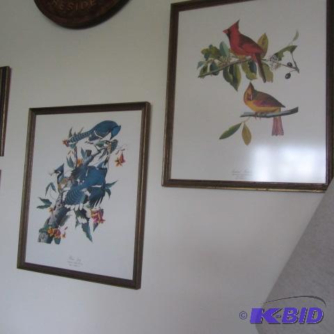 Blue Jays & Cardinals