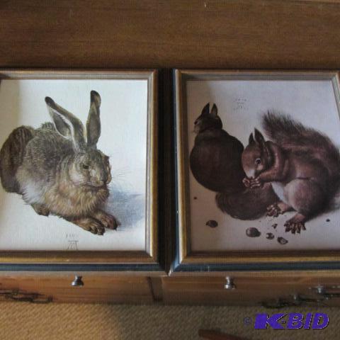 Framed Wildlife Prints