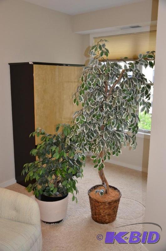 lot 103 image: 2 large plants 77" & 47"...