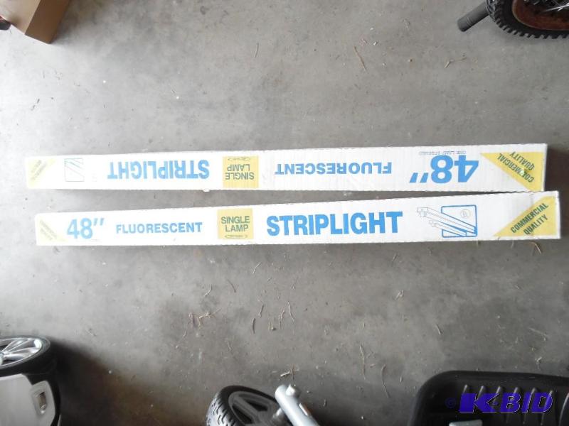 Fluorescent Light Bulbs
