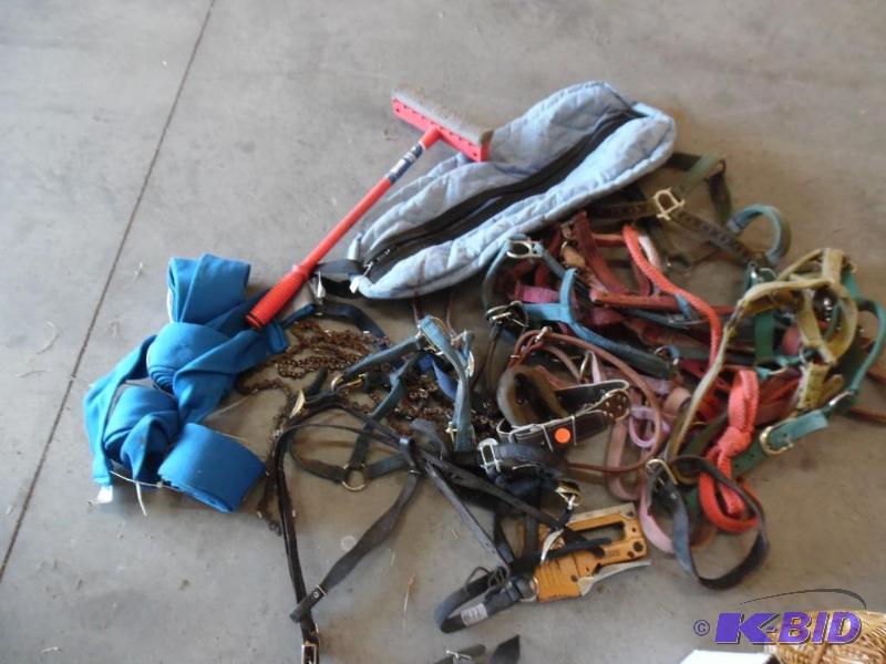 Horse Tack