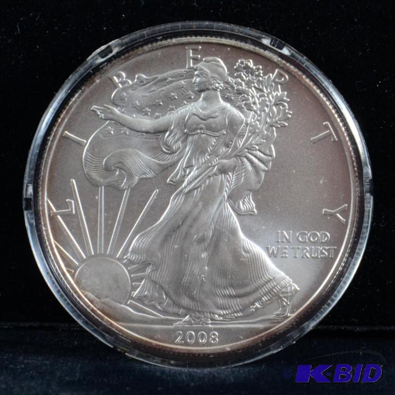 2008 Silver American Eagle Bullion Coin BU 1 Troy Oz. (light toning on the reed)