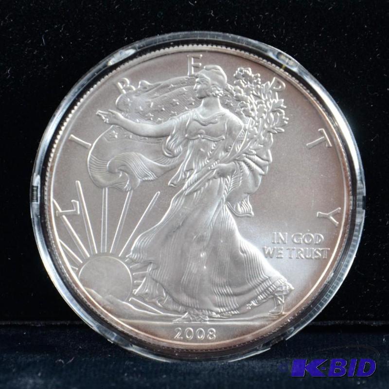 2008 Silver American Eagle Bullion Coin BU 1 Troy Oz. (light toning on the reed)