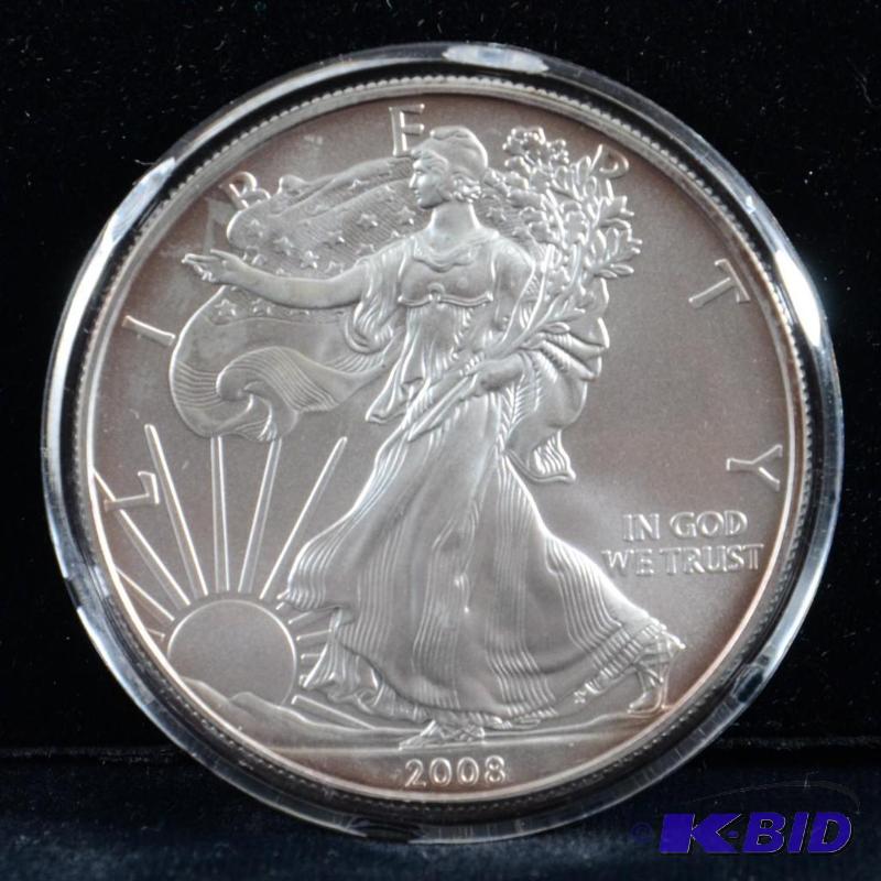 2008 Silver American Eagle Bullion Coin BU 1 Troy Oz. (light toning on the reed)