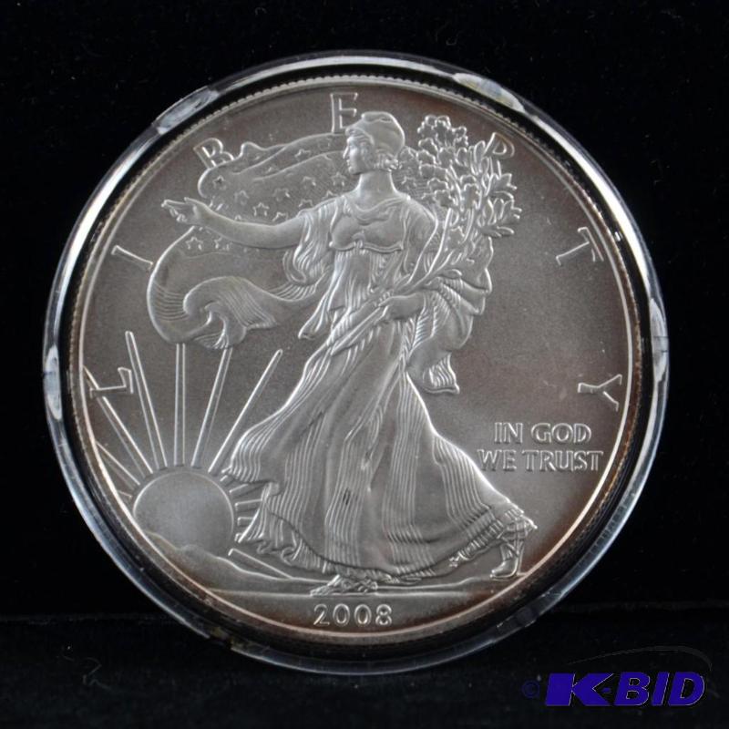2008 Silver American Eagle Bullion Coin BU 1 Troy Oz. (light toning on the reed)