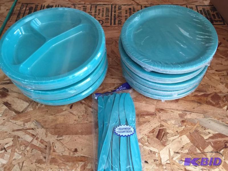 lot 108 image: Tropical Teal Plates and Cutlery
