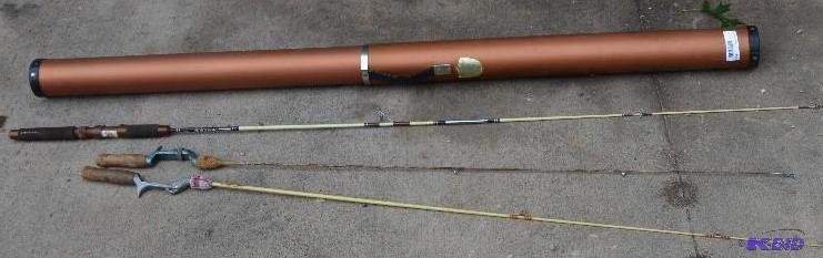 Fishing pole tube for carying rods, 3 rods in...