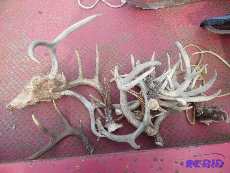 Antlers