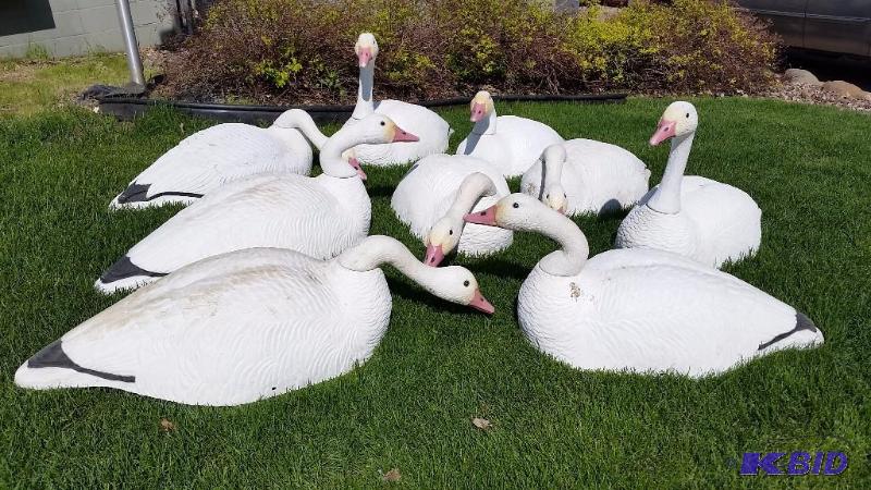lot 1 image: 9 Snow Geese Large Decoys. With Duffle Bag