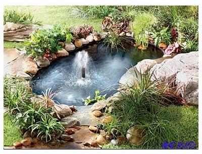 lot 16 image: 220 Gallon Flexible Pond Kit