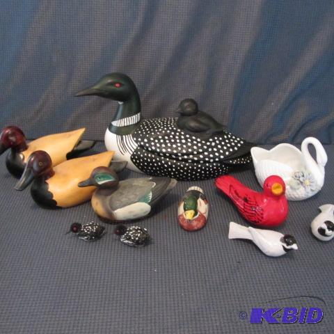 Loon, Ducks, Songbirds