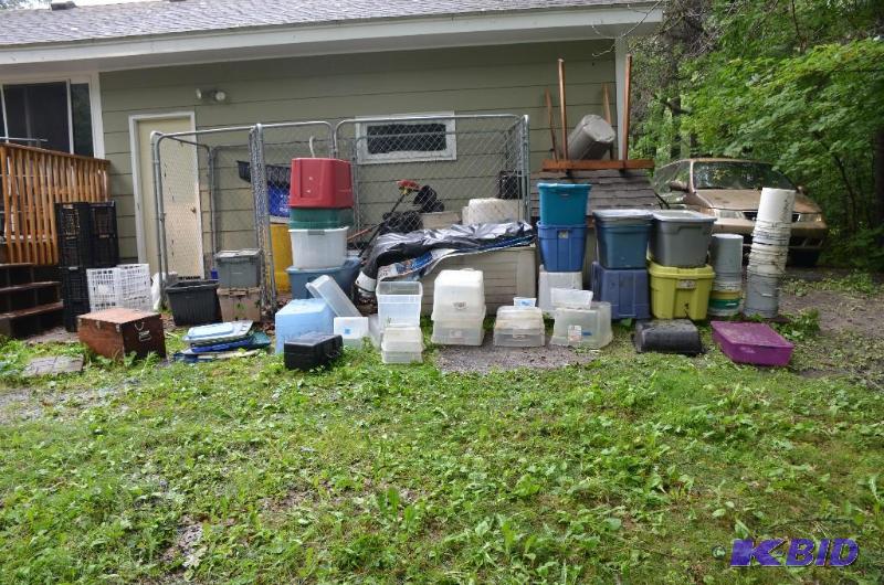 lot 267 image: Large lot of bins, approx 60 bins, unsure if ...
