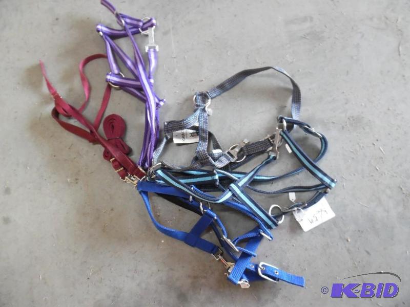 Horse Tack