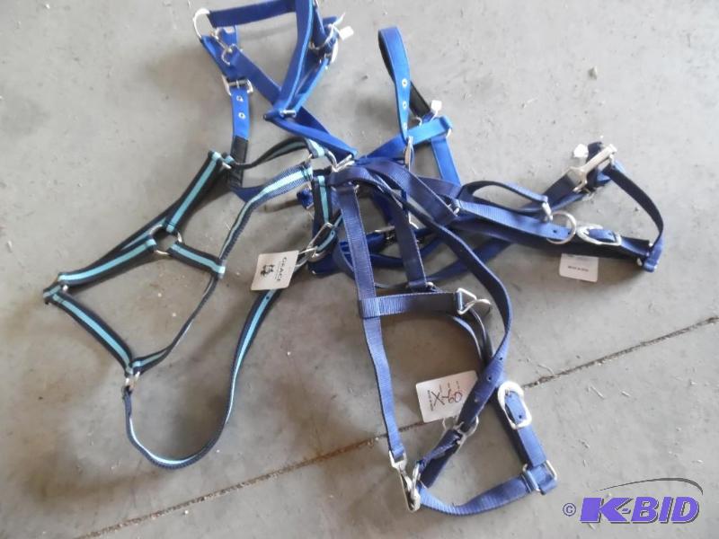 Horse Tack
