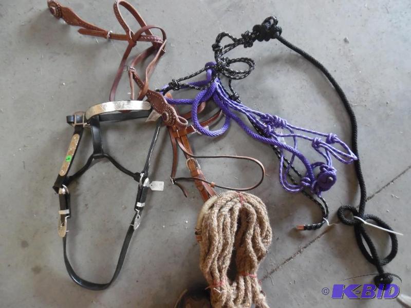 Horse Tack