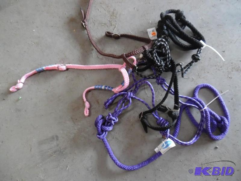Horse Tack
