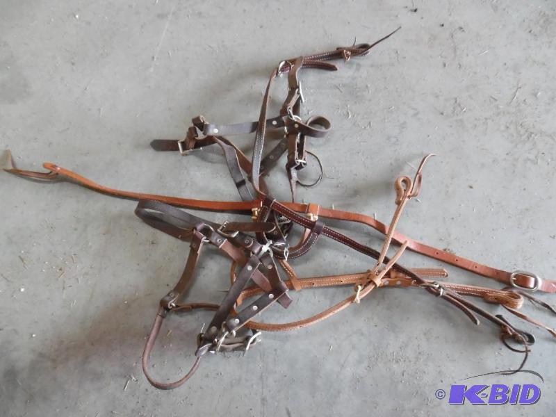 Horse Tack