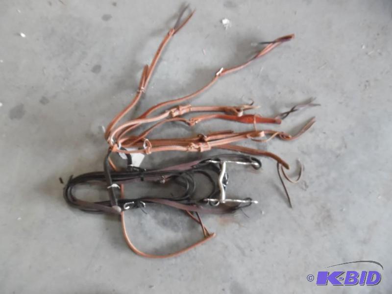 Horse Tack