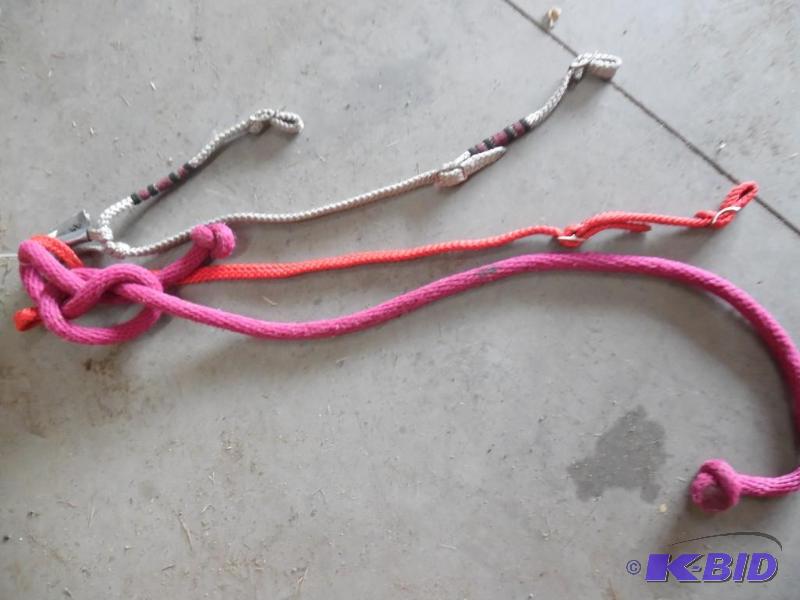Horse Tack