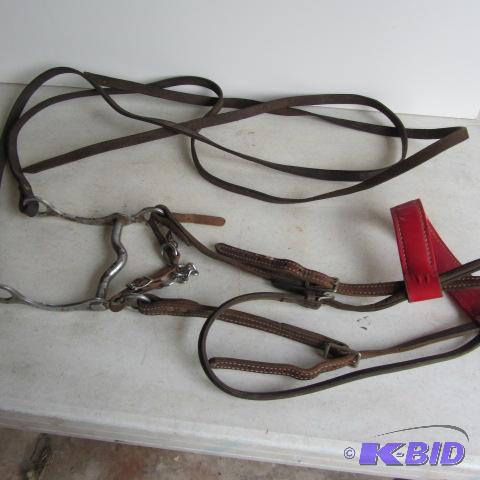 Halter, Bit, Reins