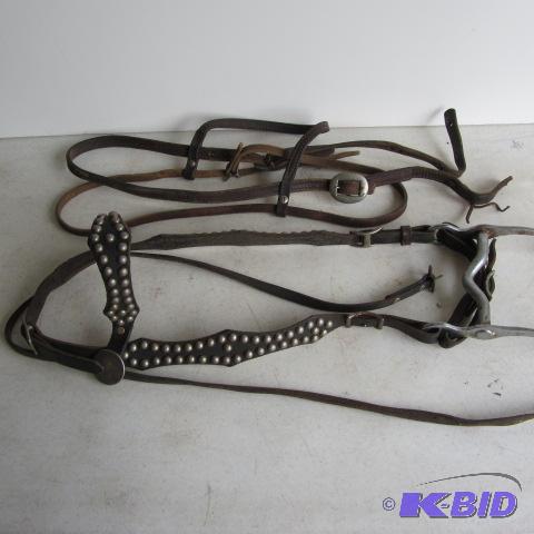Two Bridles, Bit