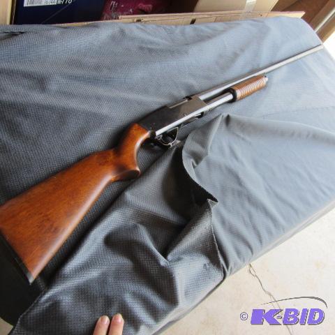 Springfield 20ga