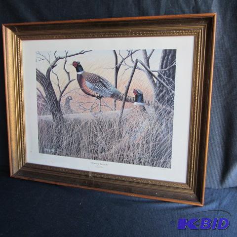 Morning Warmth Framed Print