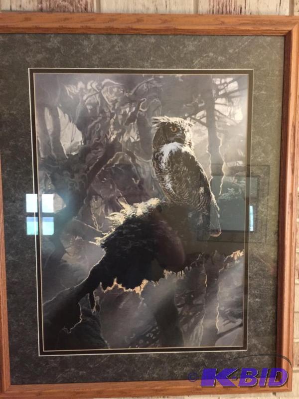 Nice Framed and Matted Owl Picture