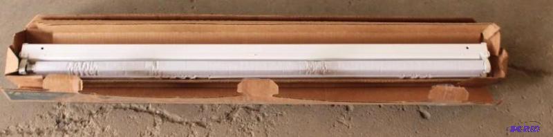 Fluorescent Light