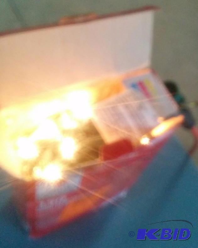 8 Function Mini Christmas Lights