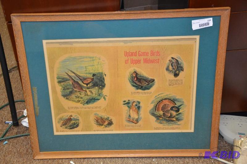 lot 224 image: Vintage Midwest Birds Print, framed and matte...