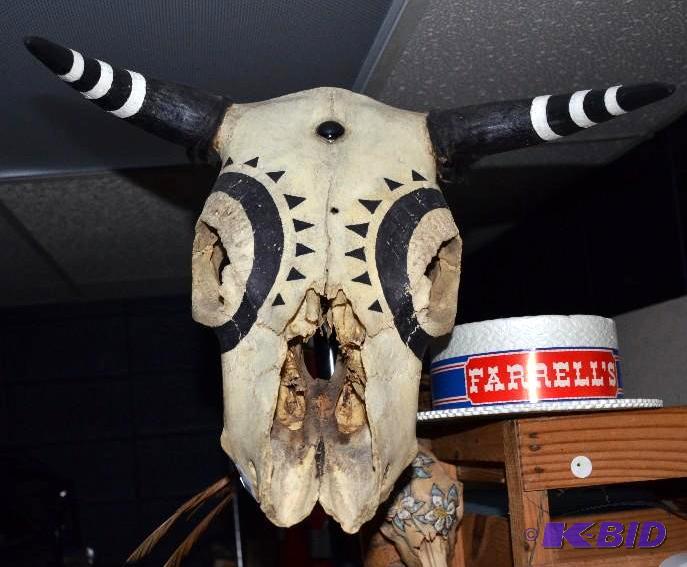 lot 226 image: Native American Art Steer&nbsphead skull bon...